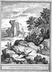 Th bird wounded by an arrow, ill. J.B. Oudry