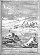 les deux chiens et l'âne mort, Oudry
