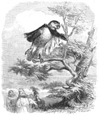 les deux perroquets, le roi et son fils, par Grandville