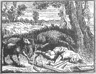 le loup et le chasseur, illustration : Chauveau