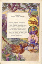 carte postale publicitaire Bergougnan