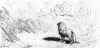 Le lion abattu par l'homme (Gustave Dor)